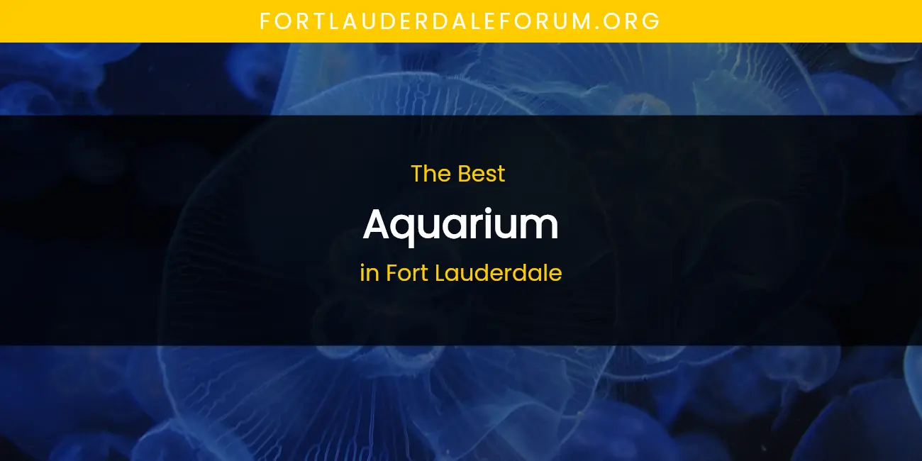 The Absolute Best Aquarium in Fort Lauderdale featured