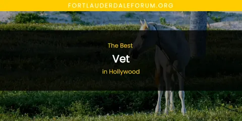 The Absolute Best Vet in Hollywood