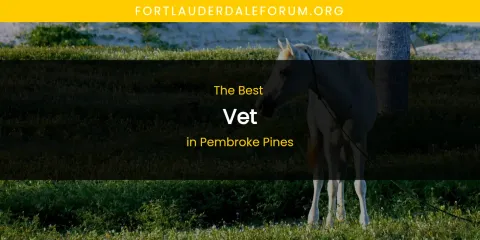 Pembroke Pines' Best Vet